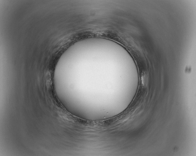 X0000096141347200802011201