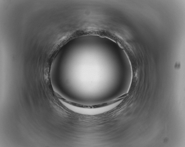 X0000096141348200802011201