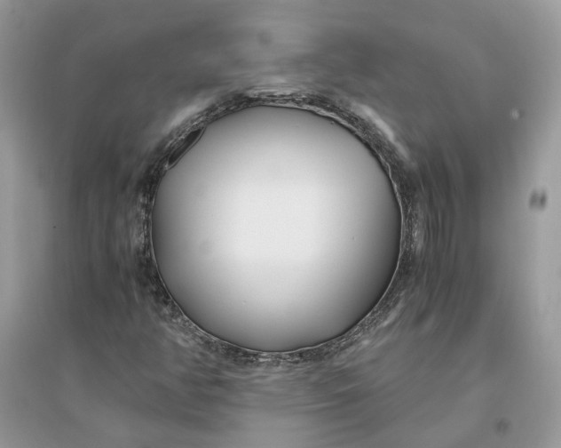 X0000096141350200802011201