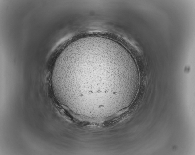 X0000096141351200802011201