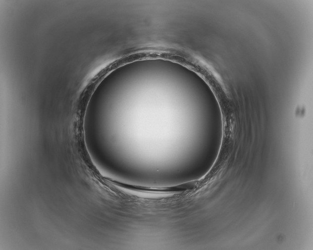 X0000096141352200802011201