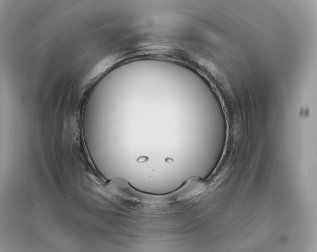 X0000096141354200802011201