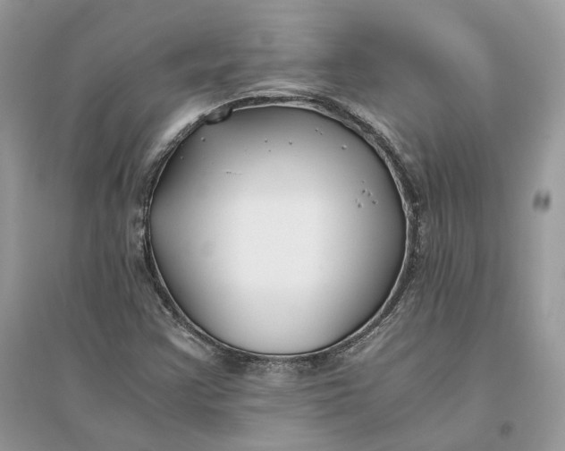 X0000096141355200802011201