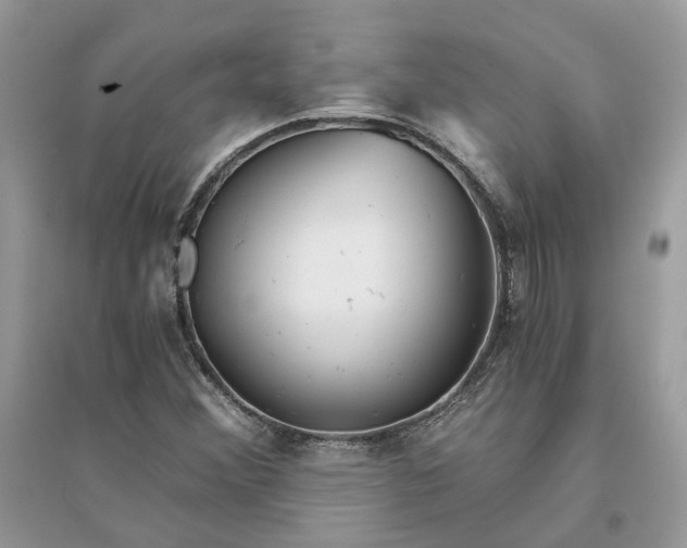 X0000096141356200802011201