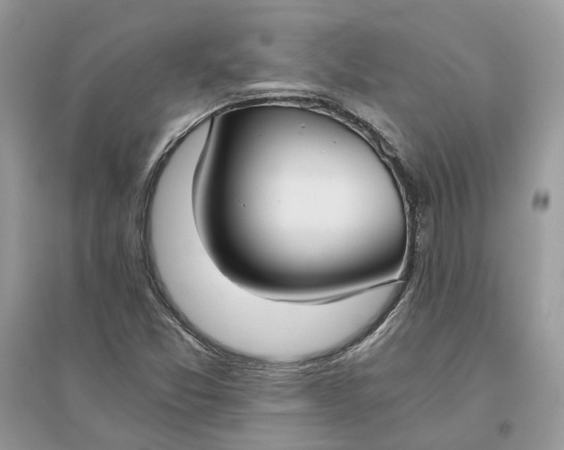X0000096141357200802011201