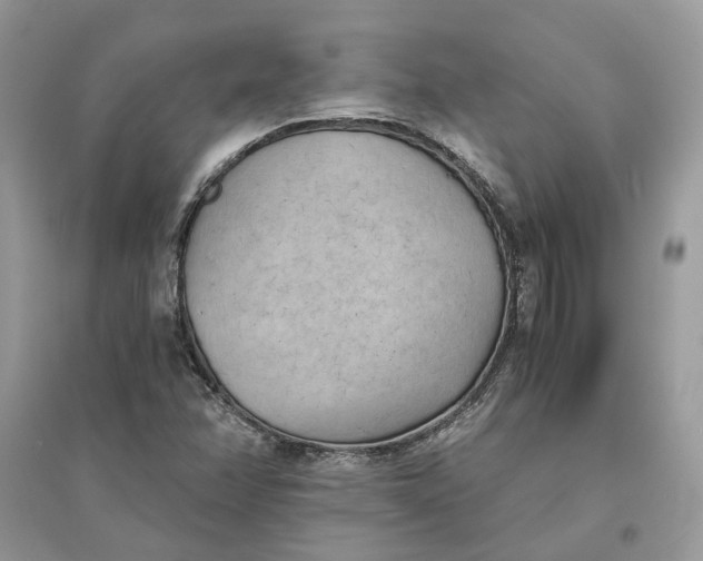 X0000096141358200802011201