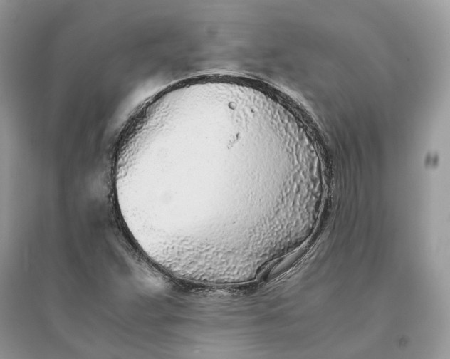 X0000096141359200802011201