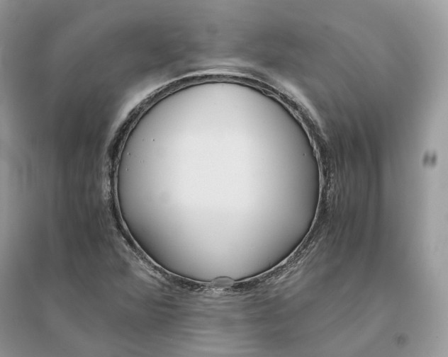 X0000096141360200802011201