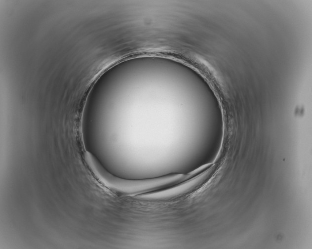 X0000096141361200802011201