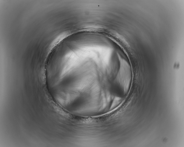X0000096141362200802011201