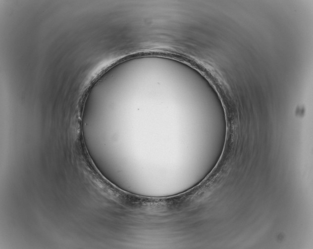 X0000096141363200802011201