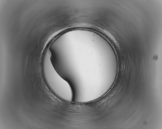 X0000096141364200802011201