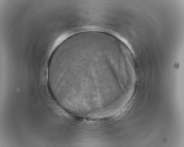 X0000096141365200802011201