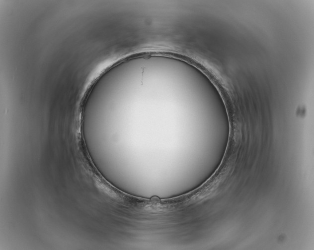 X0000096141366200802011201