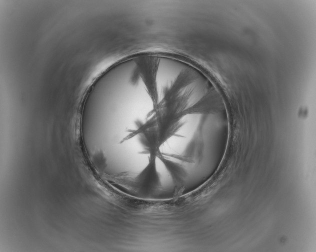 X0000096141367200802011201
