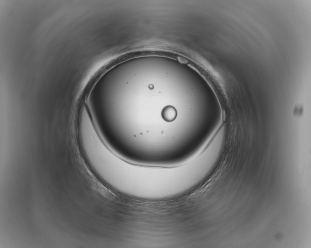 X0000096141368200802011201