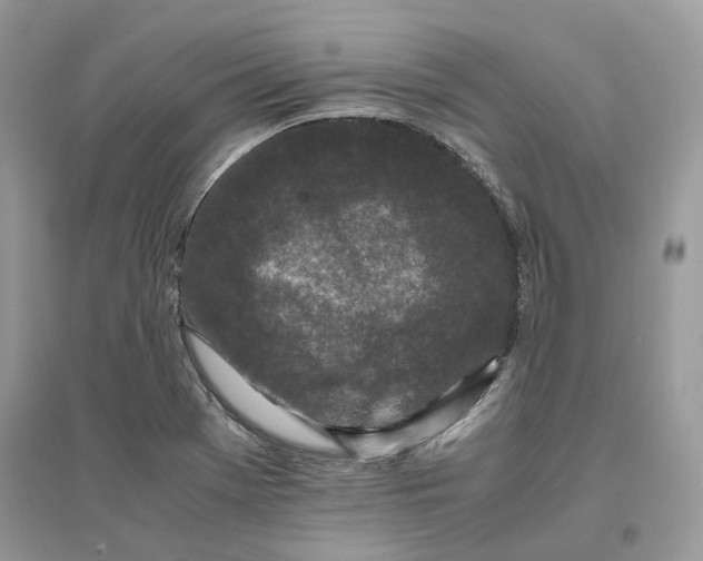 X0000096141369200802011201