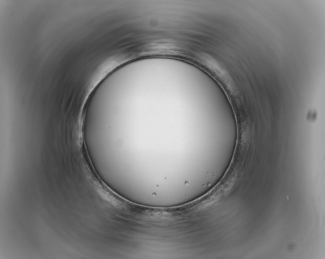 X0000096141370200802011201