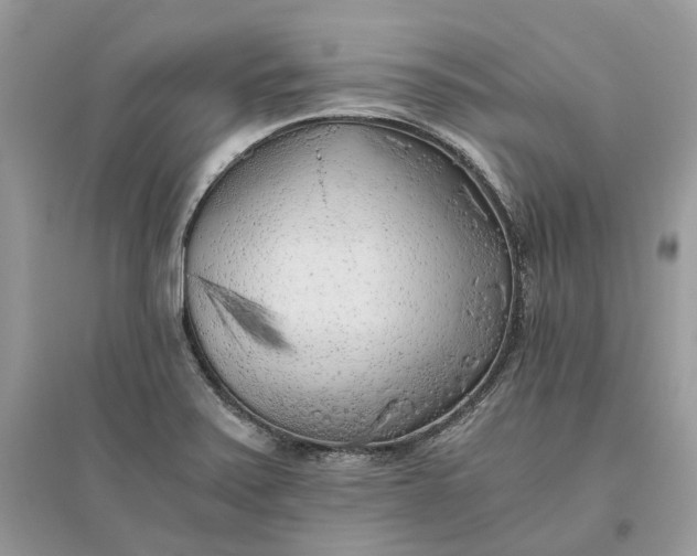 X0000096141371200802011201