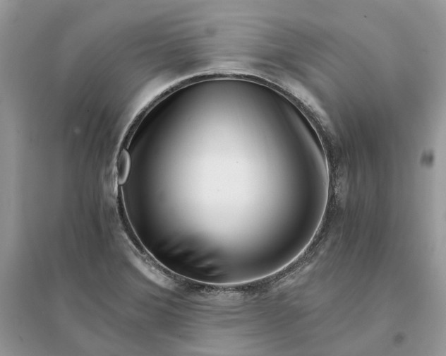 X0000096141372200802011201