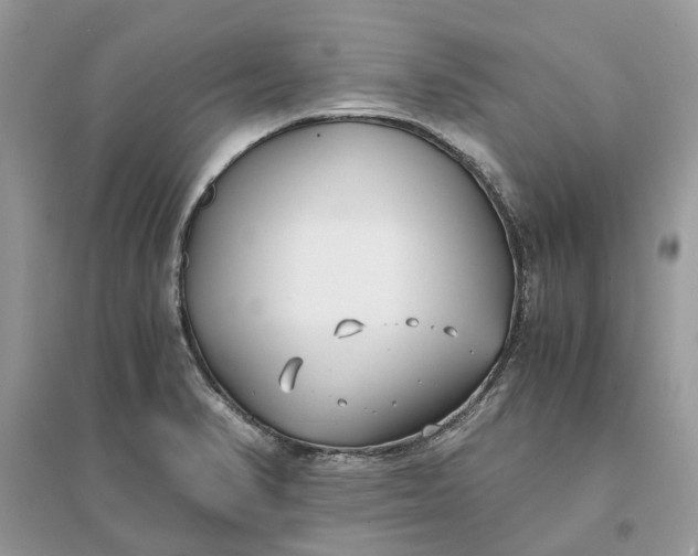 X0000096141374200802011201