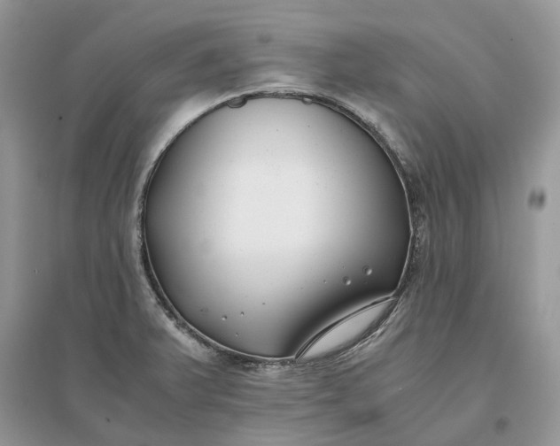 X0000096141375200802011201
