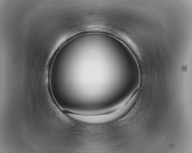 X0000096141376200802011201