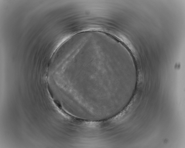 X0000096141377200802011201