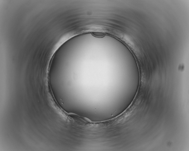 X0000096141378200802011201