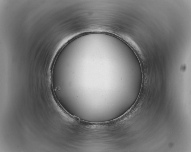 X0000096141380200802011201