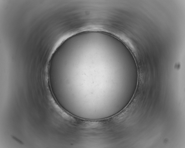 X0000096141382200802011201