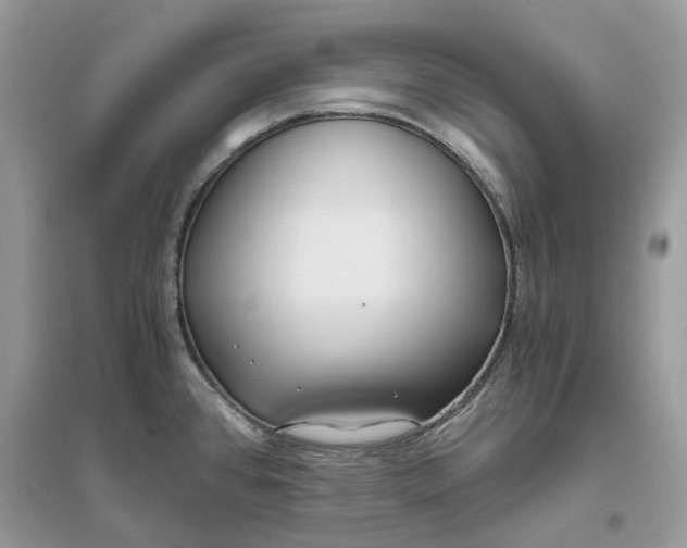 X0000096141384200802011201