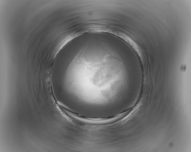 X0000096141385200802011201