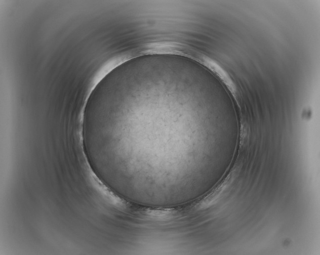 X0000096141386200802011201