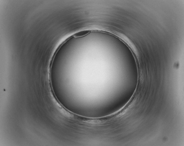 X0000096141388200802011201