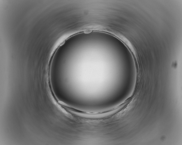 X0000096141389200802011201