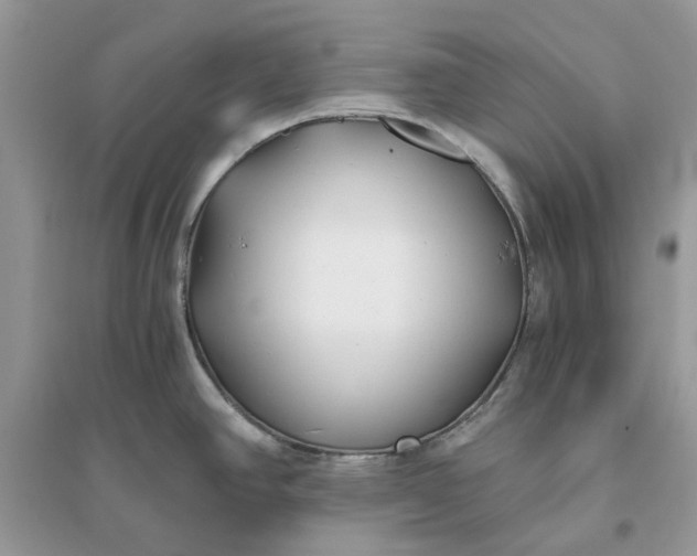 X0000096141390200802011201