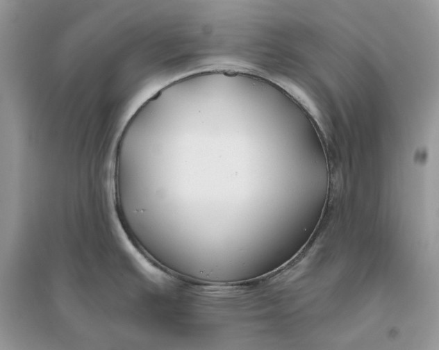 X0000096141391200802011201