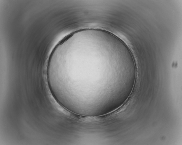 X0000096141392200802011201