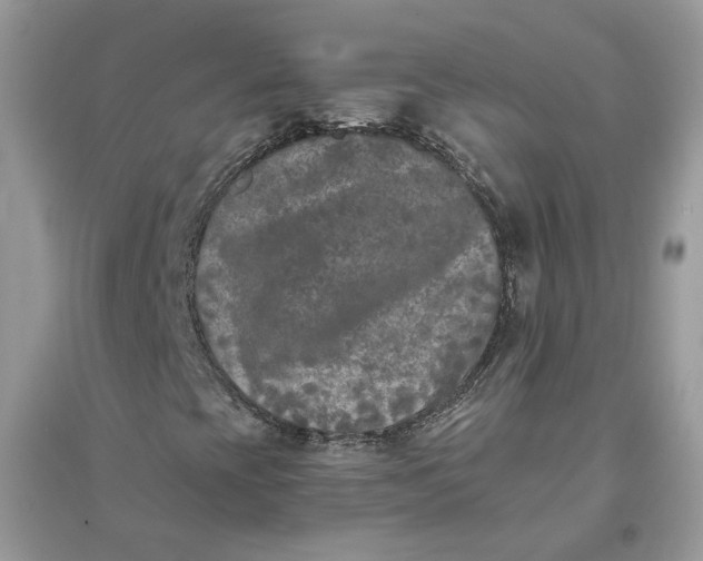 X0000096141393200802011200