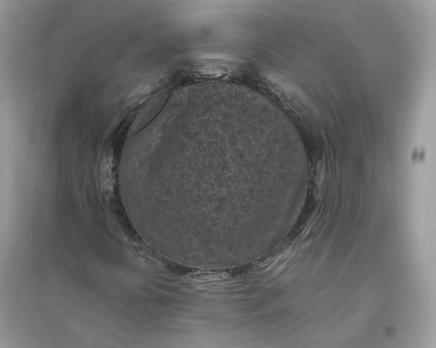 X0000096141394200802011200