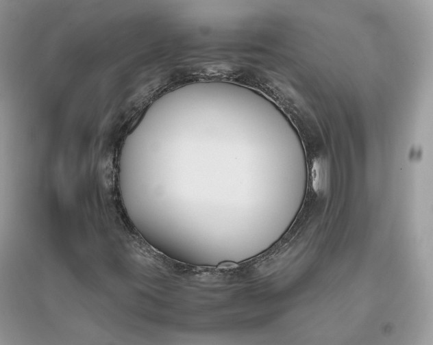 X0000096141395200802011200
