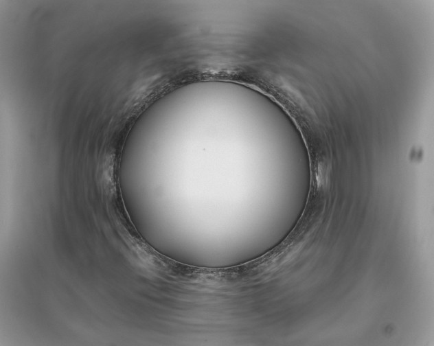 X0000096141396200802011200