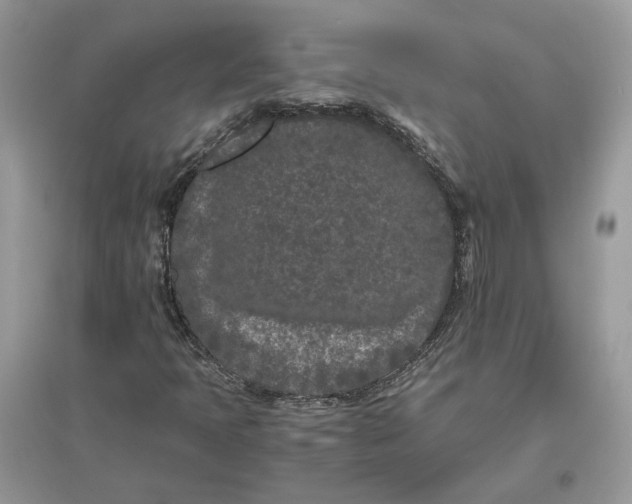 X0000096141397200802011200