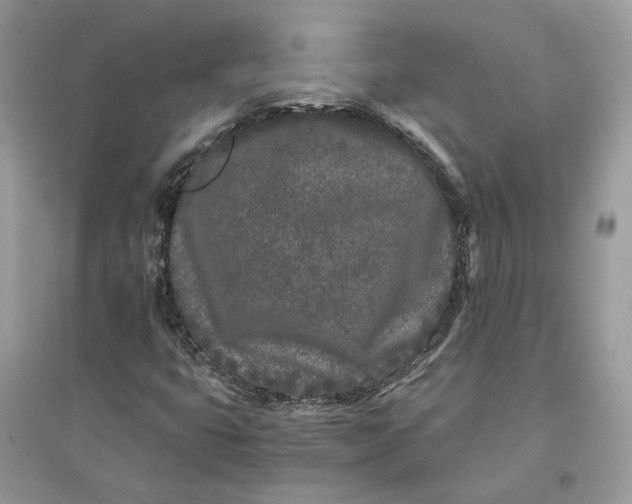 X0000096141399200802011200