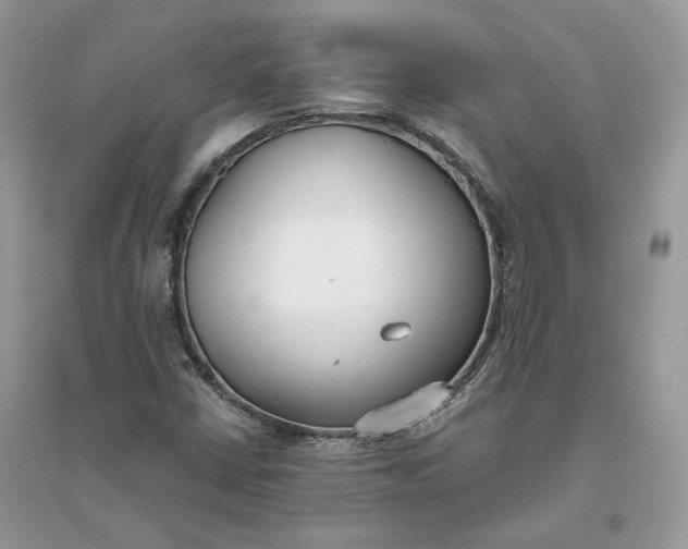 X0000096141402200802011200