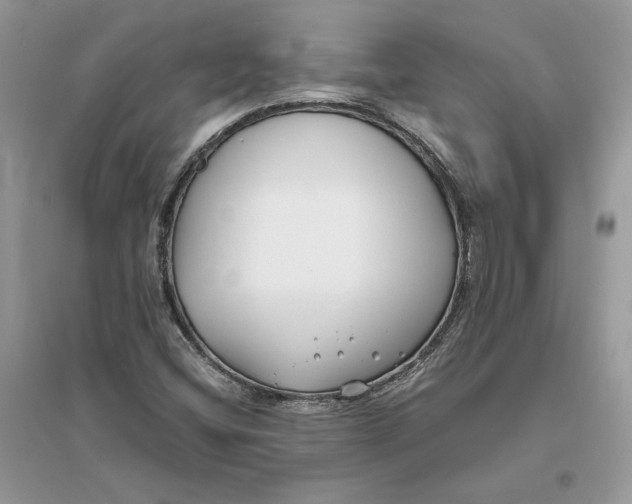 X0000096141404200802011200