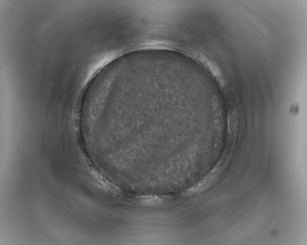 X0000096141405200802011200