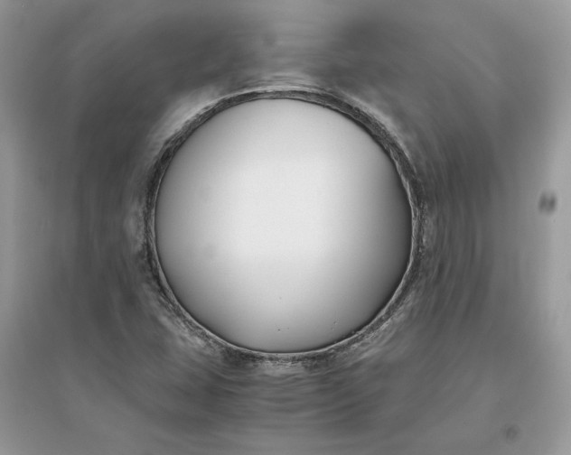 X0000096141407200802011200