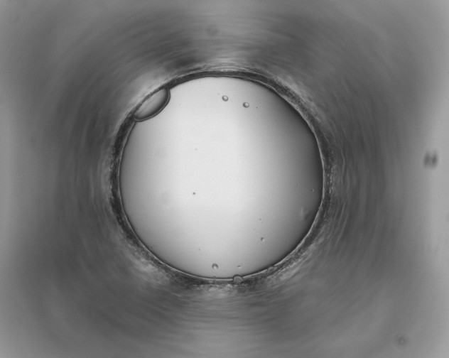 X0000096141410200802011200